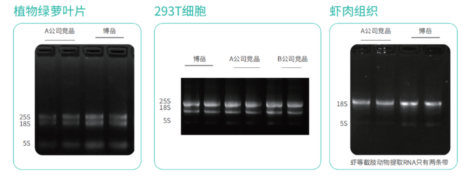bd3cd1473b808732902f4a5deb25c7e.png