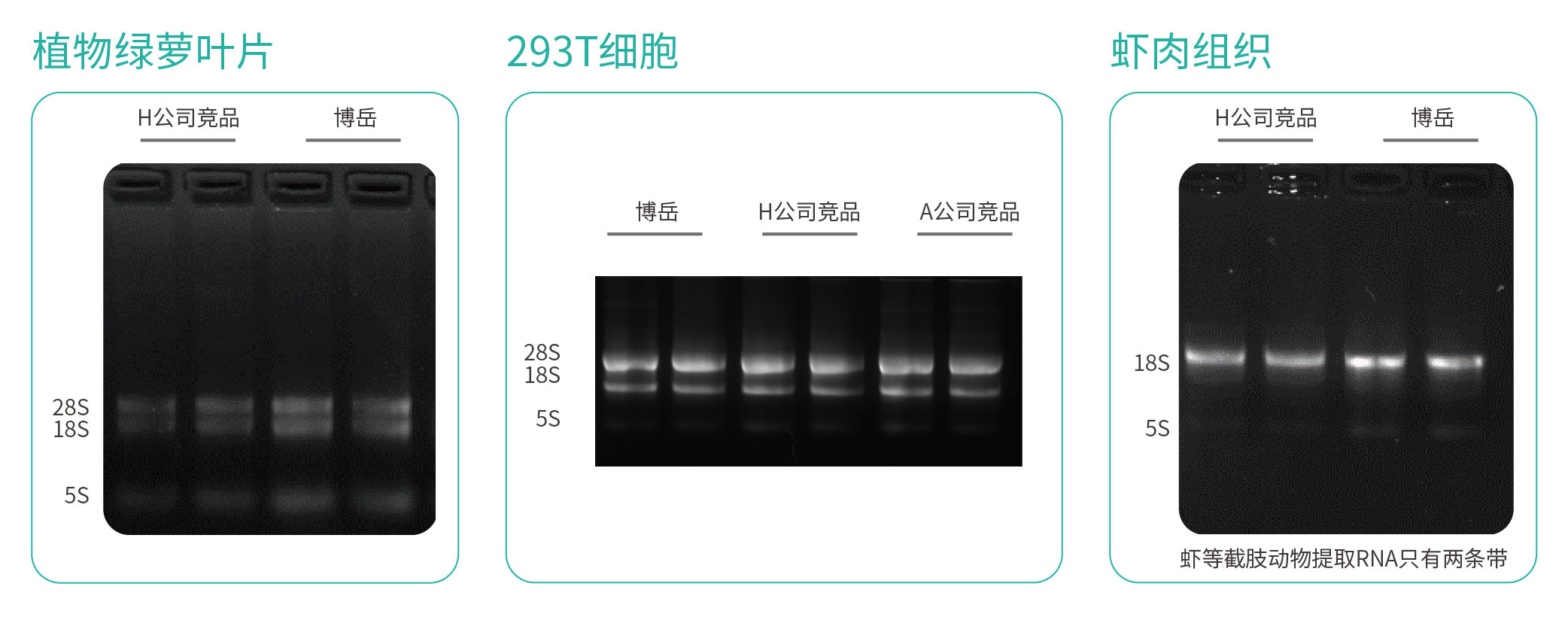 微信图片_20230710145736.jpg