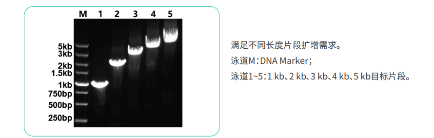 图片3-1.png