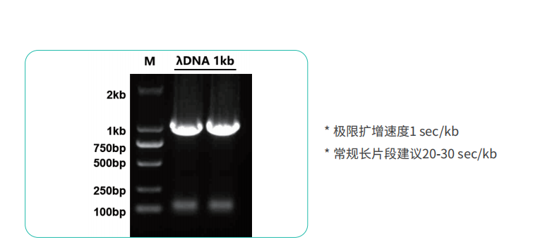 图片3-2.png